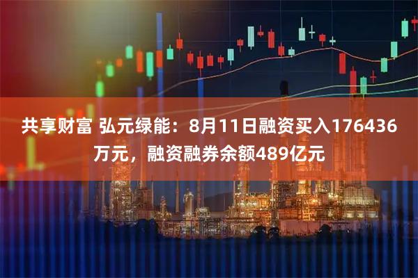 共享财富 弘元绿能:8月11日融资买入176436万元,融资融券余额489亿元