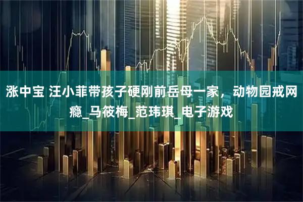 涨中宝 汪小菲带孩子硬刚前岳母一家，动物园戒网瘾_马筱梅_范玮琪_电子游戏