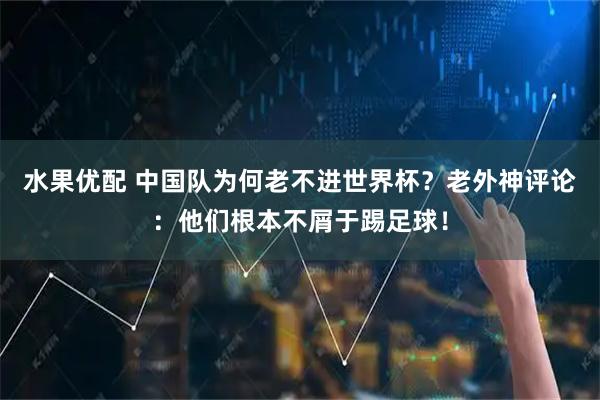 水果优配 中国队为何老不进世界杯？老外神评论：他们根本不屑于踢足球！