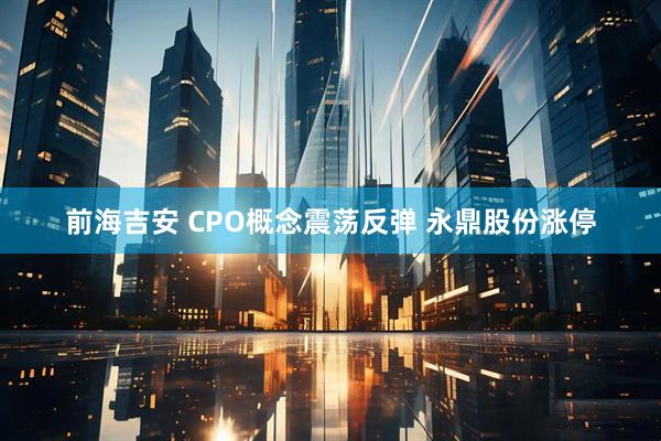前海吉安 CPO概念震荡反弹 永鼎股份涨停