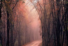 股票杠杆配资平台:股票配资导航-人形机器人爆火！多家A股公司签下订单！